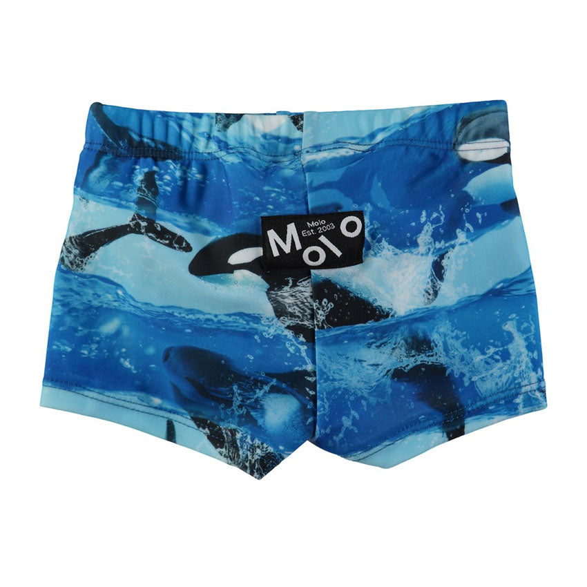 Badeshorts mit Orca Print. Versandkostenfei ab 39€. Erhältlich bei Goldkind.Wien